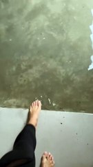 Casa Lewandowski 🏡