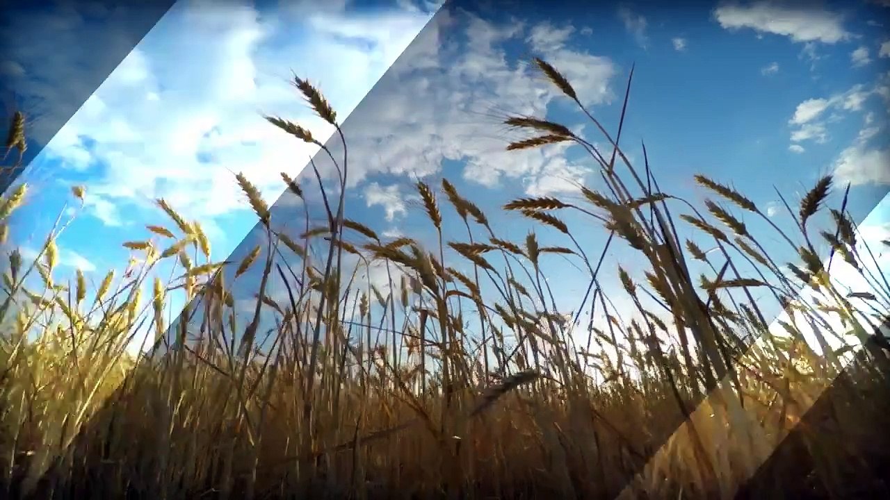 Tejon: caso Danone escancarou a incompetência do agro em se comunicar