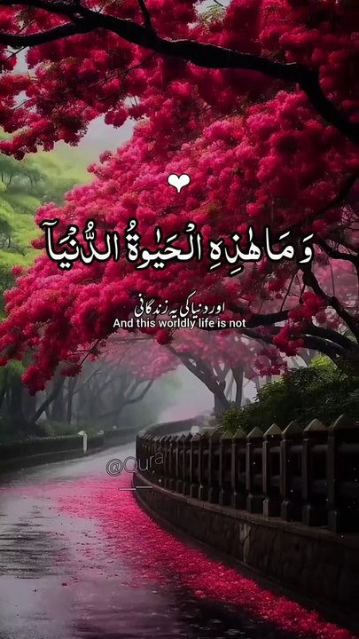 4bcea27452acf5f53103f3db6d6ecf5f