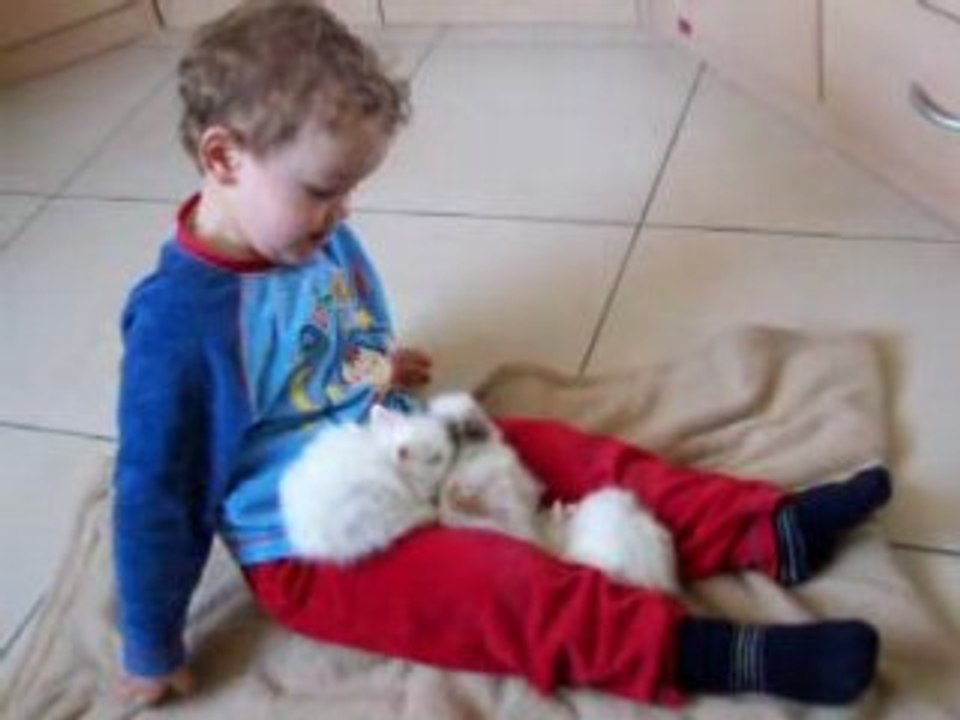 Noah et les lapins