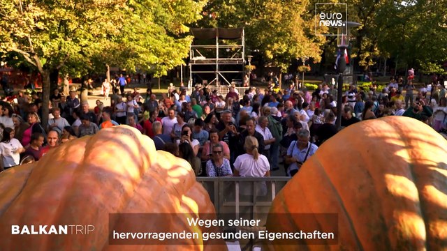 Nordserbien: Kürbisfest in Kikinda, die Schönheit des Palić-Sees und die Synagoge von Subotica