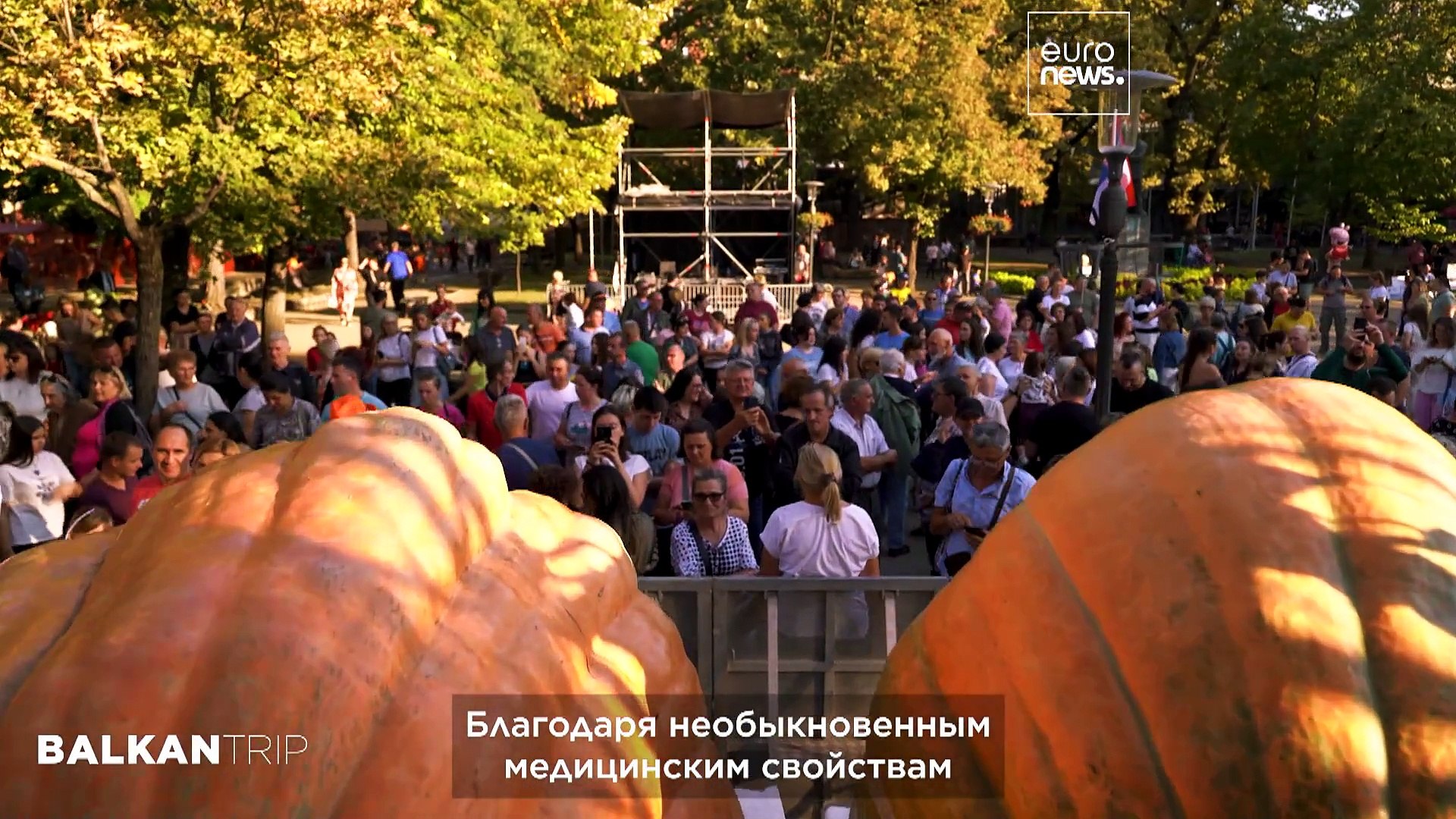 ⁣Северная Сербия—праздник тыквы в Кикинде, красота Паличского озера и красивейшая синагога в Суботице