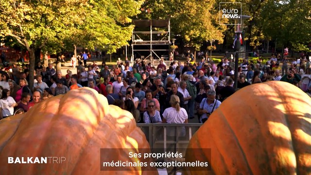 Nord de la Serbie : Fête de la citrouille à Kikinda, lac Palić et synagogue iconique de Subotica