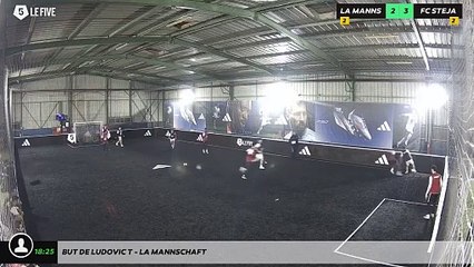 But de Ludovic T - La Mannschaft