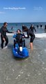 Community Helps Boy With Cerebral Palsy Achieve Surfing Dreams