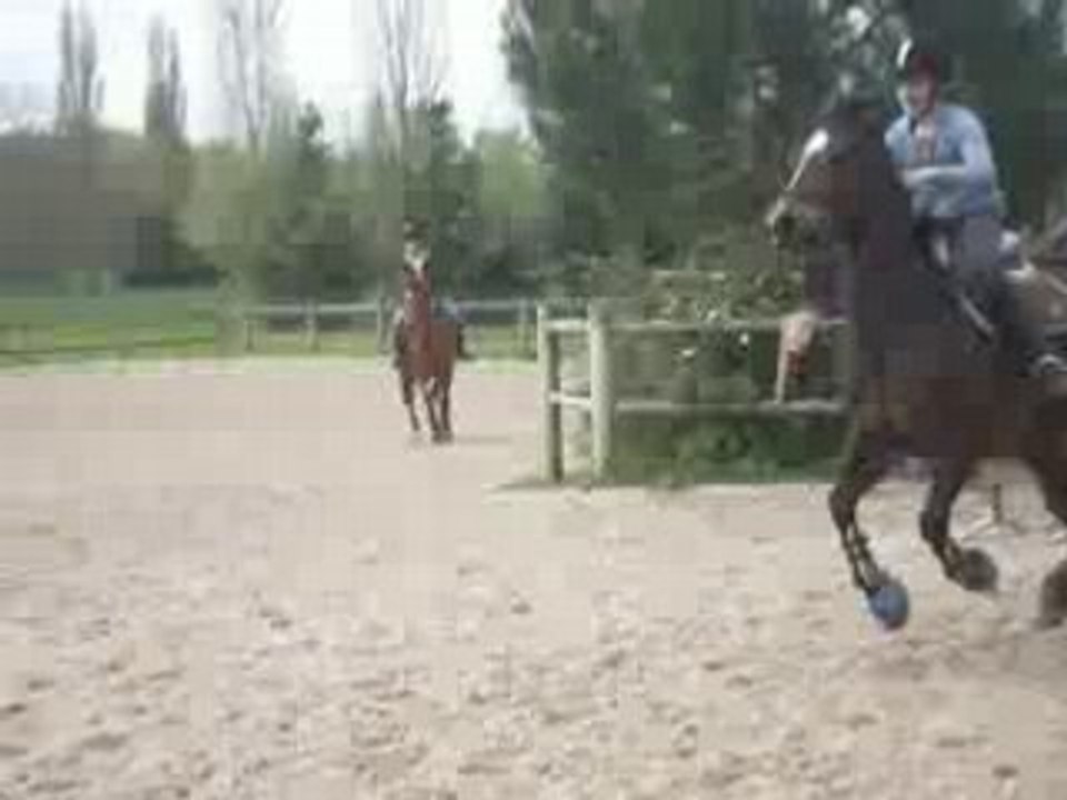 tara et jpette