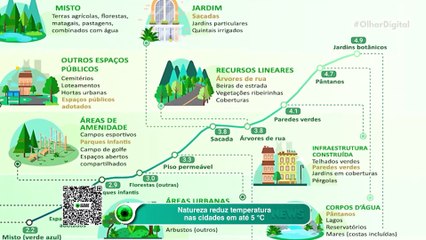 Natureza reduz temperatura nas cidades em até 5°C