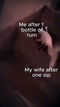 #Chatty Cats Jokes#Get your daily dose of cat humor