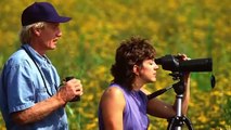 The National Geographic Guide to Birding in North America | show | 2017 | Official Trailer