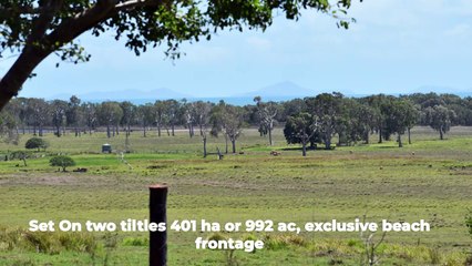 54 Sants Road, Habana, Qld | November 5, 2024 | Farmonline