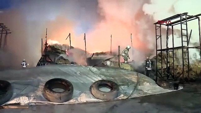 İstanbul- Esenyurt'ta ahırda çıkan yangında, çok sayıda kurbanlık hayvan telef oldu