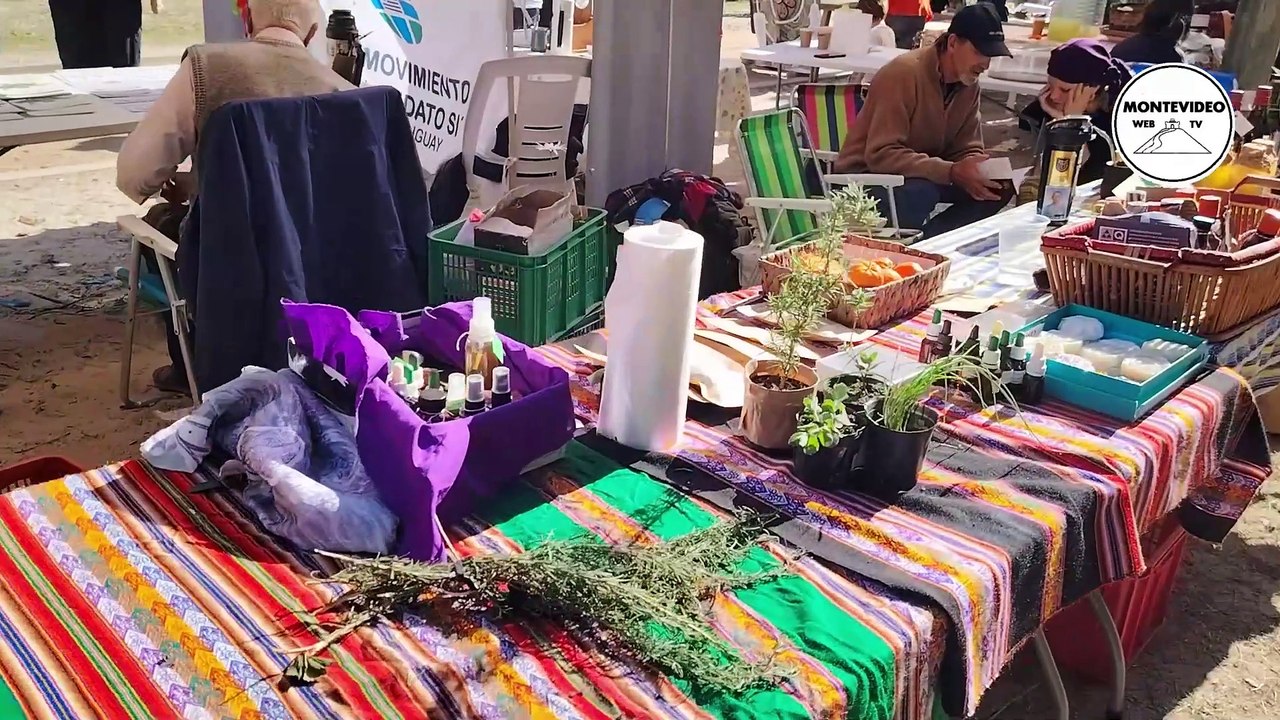 Exploring the Agroecology Fair: A Celebration of Sustainable Farming Practices