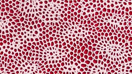 30 Broderie Anglaise Texture Backgrounds