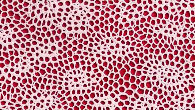 30 Broderie Anglaise Texture Backgrounds