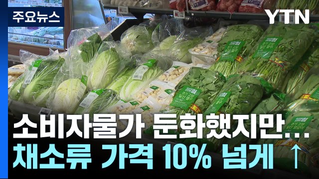 소비자물가 두 달째 1%대 둔화...'김장물가' 불안 여전 / YTN