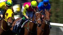 Knight’s Choice wins the 2024 Melbourne Cup