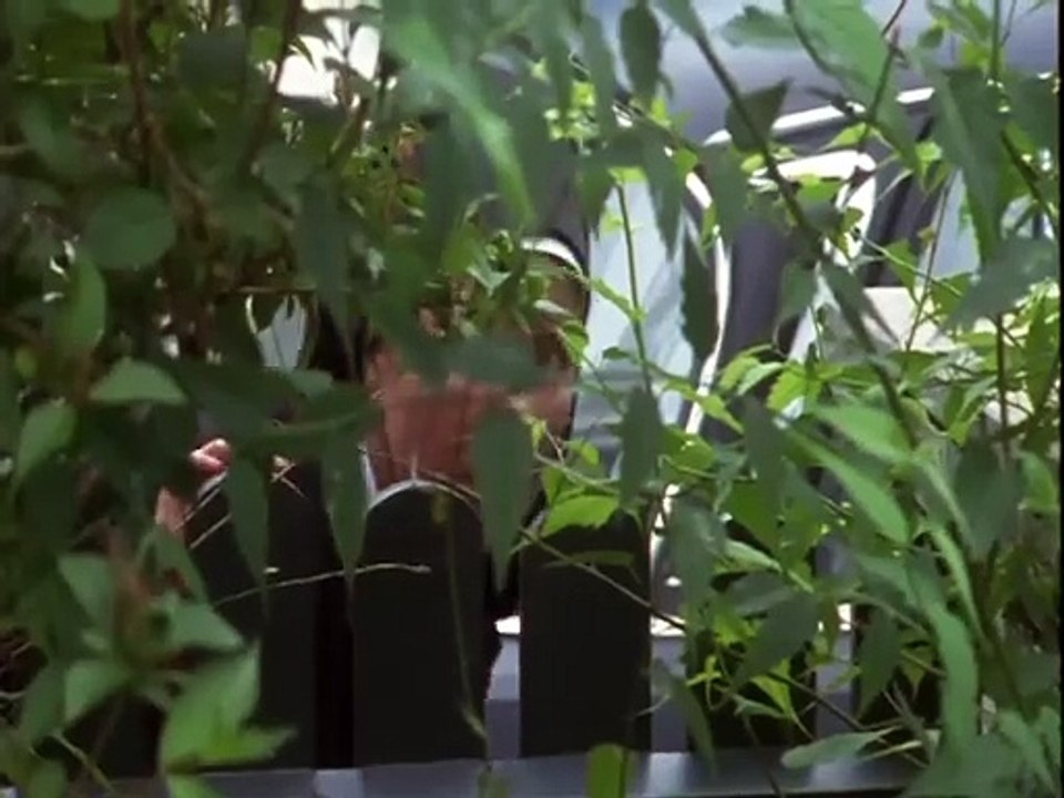 Um Himmels Willen S02E06-Gefahrenzone