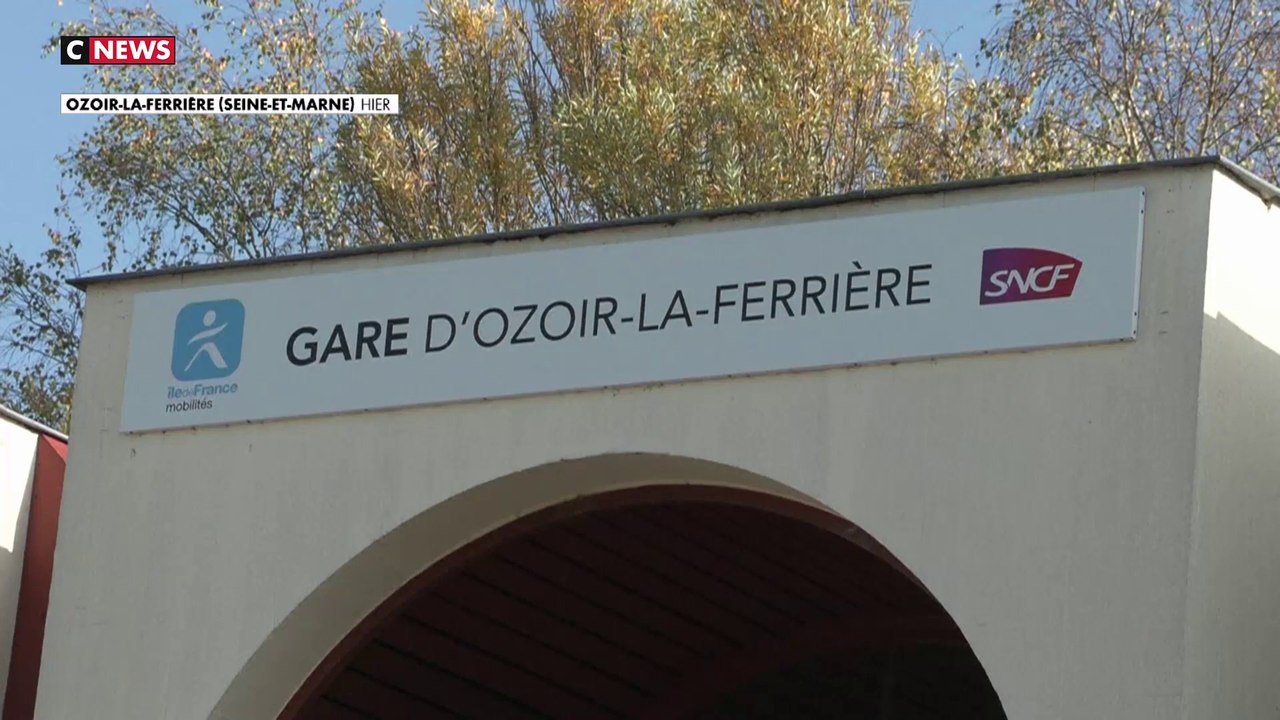 Seine-et-Marne : 4 personnes blessées à coups de hache dans une bagarre