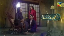 Mohabbat Reza Reza - Episode 14 - 5th November 2024 - [ Mirza Zain Baig & Minsa Malik ] - HUM TV