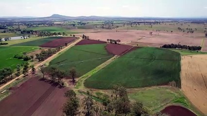 128 MacFarlane Road, Munbilla, Qld | November 5, 2024 | Farmonline