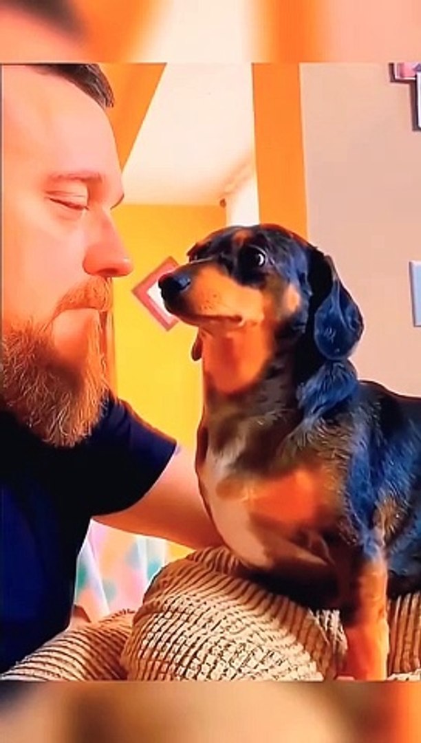 ⁣Funny pets