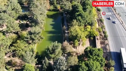 Kahramanmaraş'taki Botanik Bahçe Görsel Şölen Sunuyor