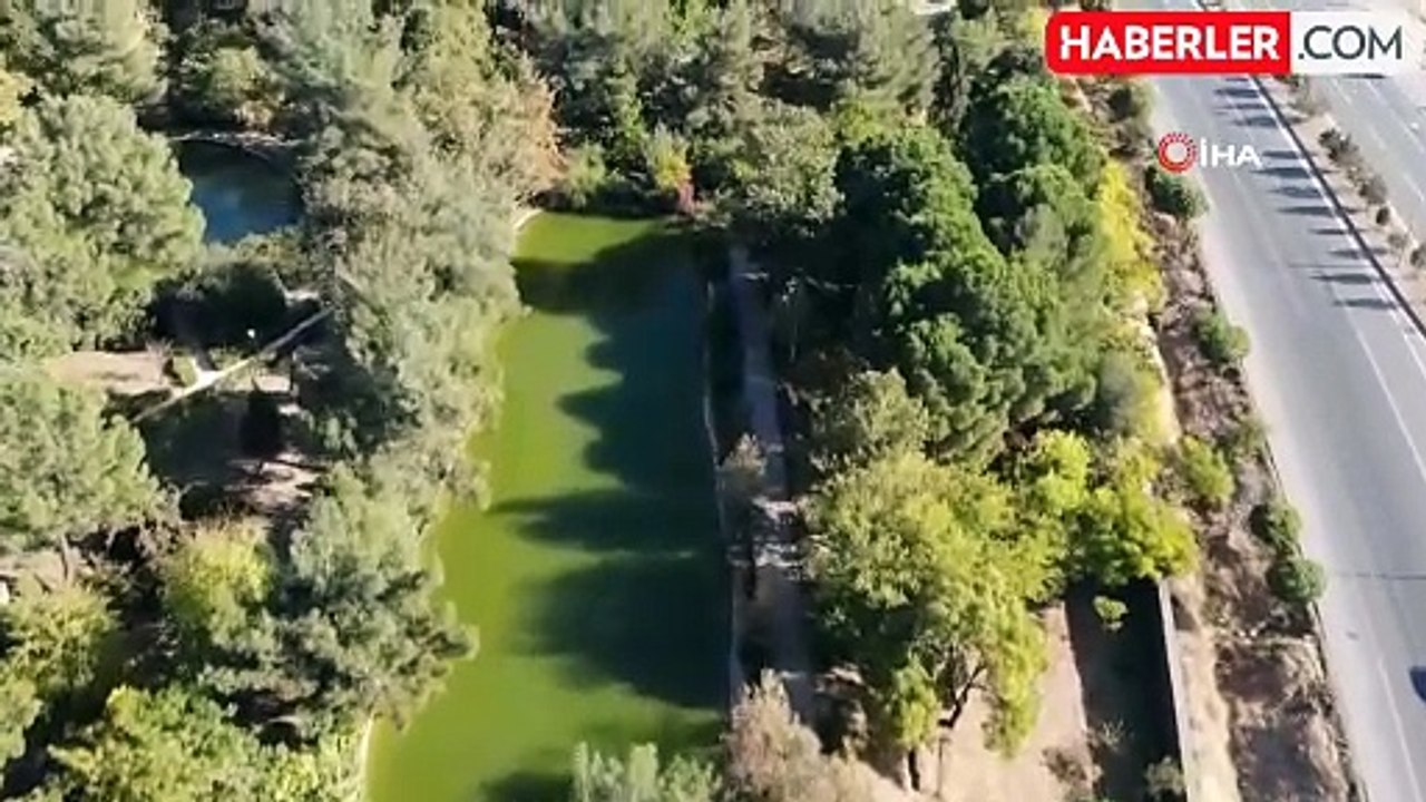 Kahramanmaraş'taki Botanik Bahçe Görsel Şölen Sunuyor