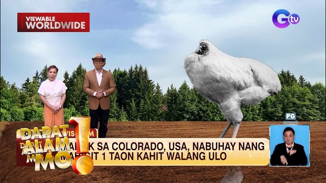 Manok sa USA, nabuhay nang walang ulo?! | Dapat Alam Mo!