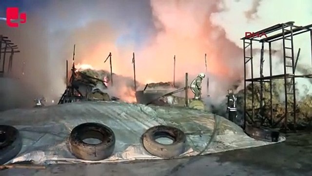 Ahırda çıkan yangında, çok sayıda kurbanlık hayvan telef oldu