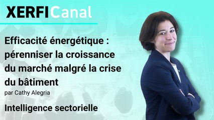 Efficacité énergétique : pérenniser la croissance du marché malgré la crise du bâtiment [Cathy Alegria]