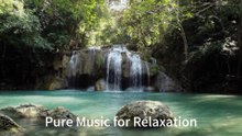 The Harmony of Tai Chi Pure Music for Stress Reli
