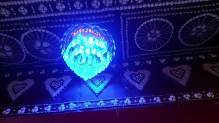 Light is beautifully  decorated at Durga Puja 2024.