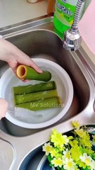 Chinese TikTok-DIY Magic: Create Something Amazing