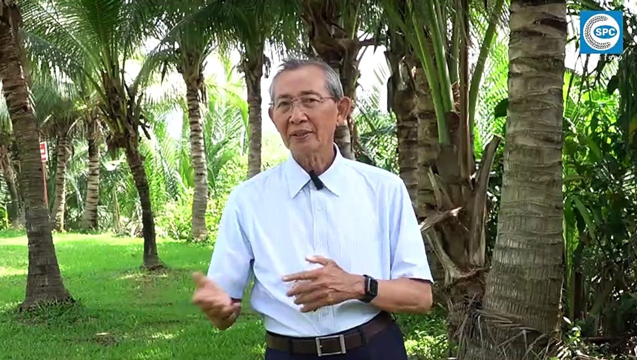 Hướng dẫn phòng trị bọ cánh cứng hại dừa bằng Sago Super 3GR dạng túi lọc