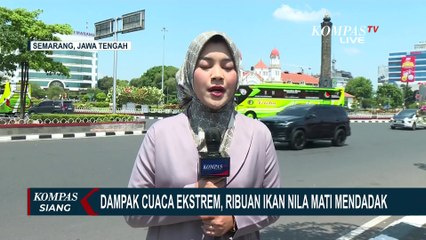 Dampak Cuaca Ekstrem, 13 Ton Ikan Nila Mati Mendadak, Para Petani Merugi Rp280 Juta