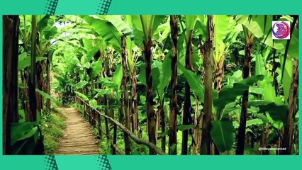 Surah Al fatiha full tafseer engineer Muhammad Ali