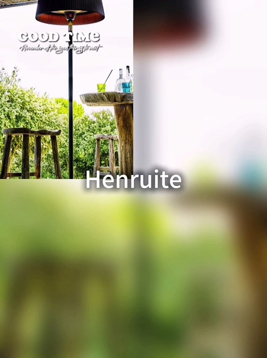 Hot Sale IP55 Waterproof Electric Outdoor Patio Heater Garden Heater Room Heater