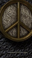 Travel Insurance Your Safety Net for Every Adventure