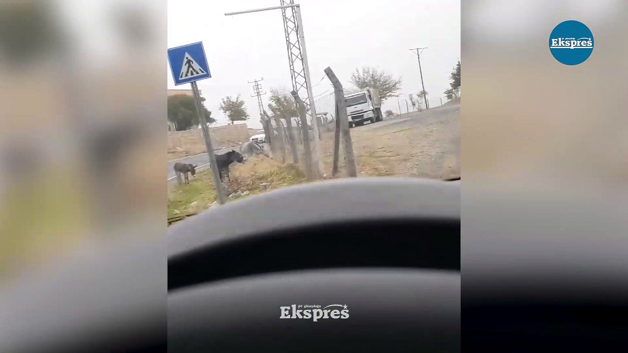 Diyarbakır'da taşıma krizi! Öğrenciler otostop çekerek okullara gidiyor
