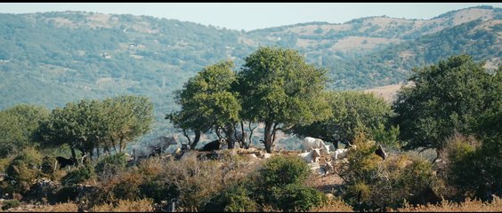 Cose che accadono sulla terra (Trailer ufficiale HD)