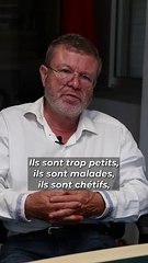 Commémoration de l'Armistice : comment La Réunion a vécu la Grande Guerre ?