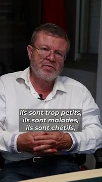 Commémoration de l'Armistice : comment La Réunion a vécu la Grande Guerre ?