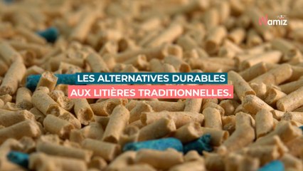 Les alternatives durables aux litières traditionnelles.