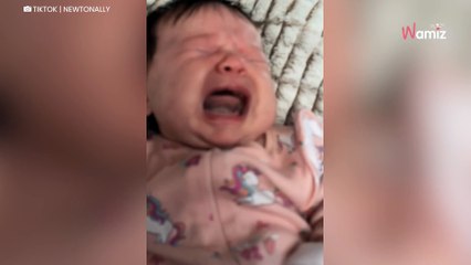 Noworodek zaczyna płakać. Reakcja husky rozbawiła 25 milionów osób (video)