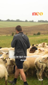 « La relation avec nos bêtes c’est ça qui nous motive », Benoît Toutain, 18 ans, élu meilleur jeune berger du monde nous a raconté sa vie à la ferme et sa relation privilégiée avec ses bêtes.
