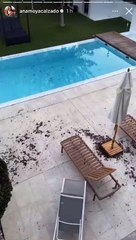 Après les inondations meurtrières, elle se plaint des feuilles sur sa terrasse et s'attire les foudres des internautes