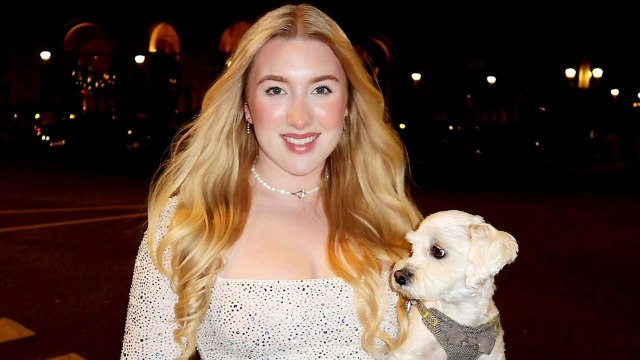 I took my globetrotting dog to Amsterdam - the Red Light District loved him