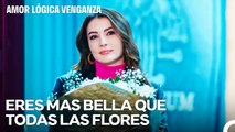 Con Una Flor Me Llevaré Todo Tu Corazón - Amor Lógica Venganza