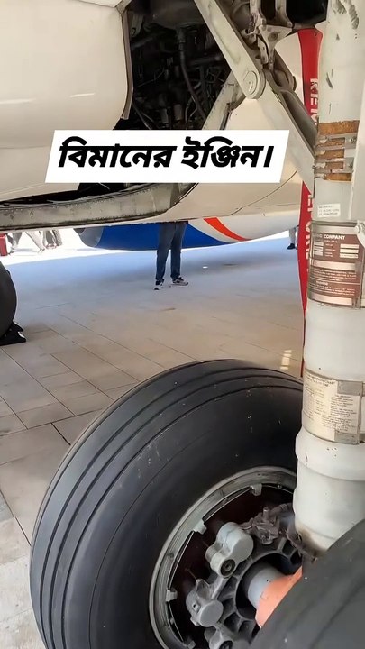 Biman Engine