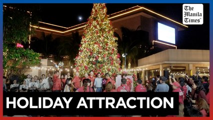San Juan lights up giant Christmas tree